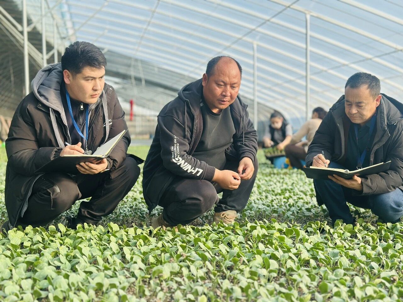 一周&ldquo;廉&rdquo;情丨推进作风建设常态化长效化