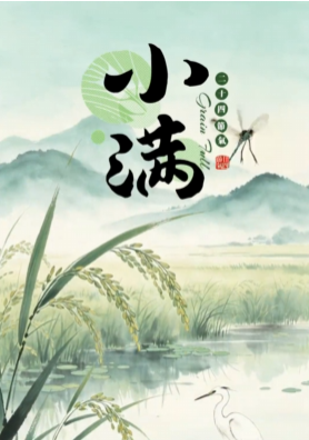 今日丨小满