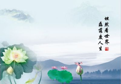 习近平总书记关于生态文明建设重要论述综述